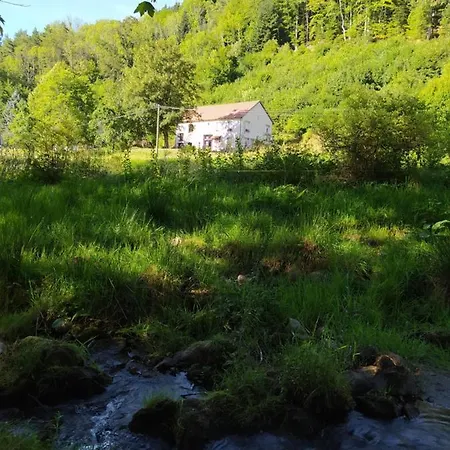 La Mansarde Aux Digitales 3* La Croix-aux-Mines