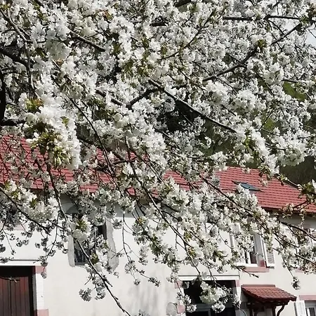 La Mansarde Aux Digitales Bed & Breakfast 3*