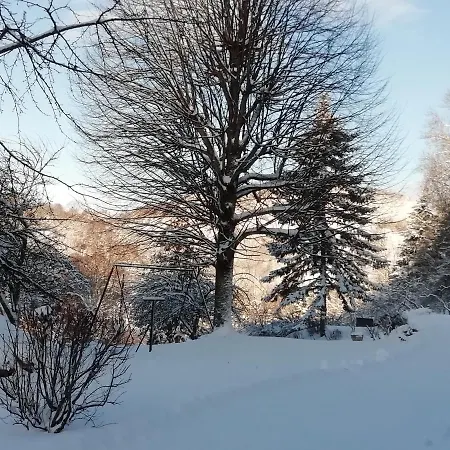 La Mansarde Aux Digitales La Croix-aux-Mines
