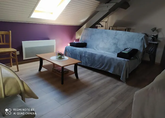 住宿加早餐酒店 La Mansarde Aux Digitales La Croix-aux-Mines