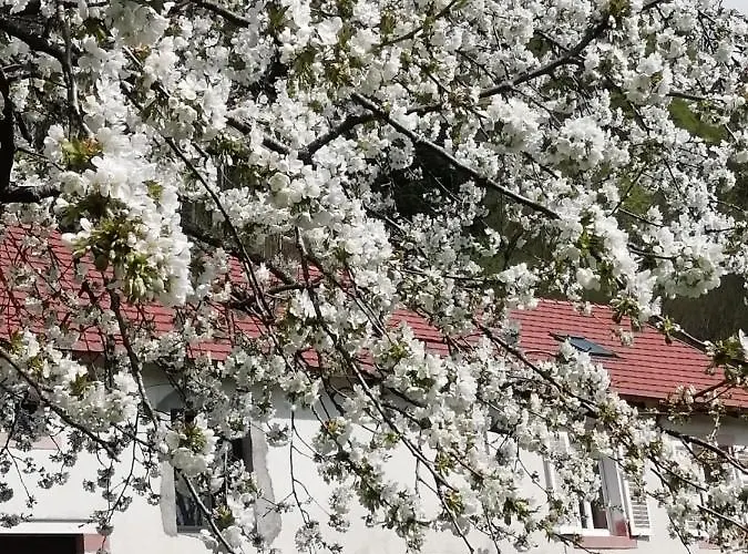 La Mansarde Aux Digitales 住宿加早餐酒店 3*