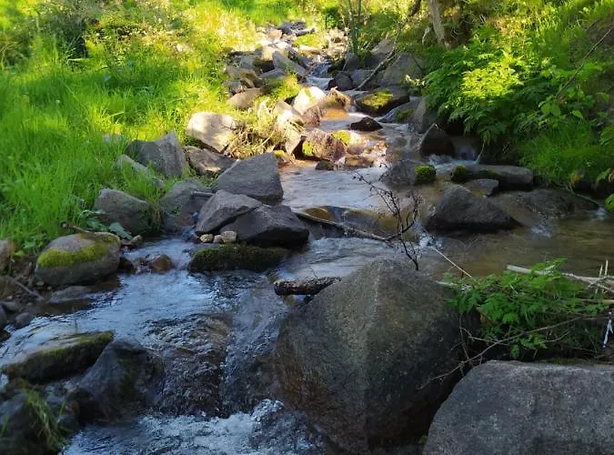 La Mansarde Aux Digitales